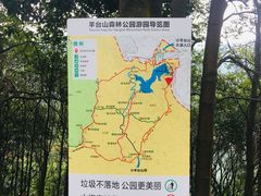 景点-阳台山森林公园