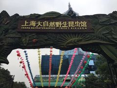 -上海大自然野生昆虫馆(东方明珠·爬宠昆虫探索中心)
