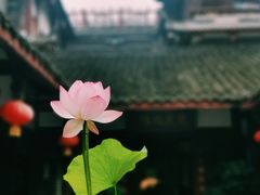 -海窝子古镇