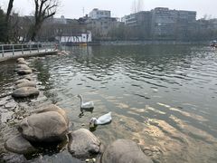 -莲湖公园