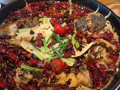 -老板恋上鱼(印象城店)