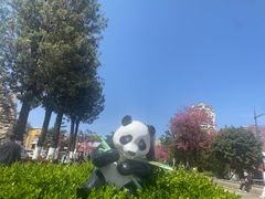 -昆明动物园