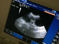 -瑞派·关忠动物医院·异宠专科·犬猫肿瘤·皮肤专科(望京店)