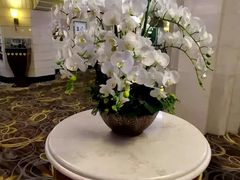 -国际饭店·原点咖啡吧ORIGIN CAFE&BAR