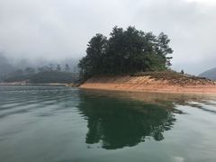 -广州市流溪河国家森林公园