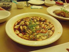 卤白米虾-新南华大酒店(广中店)