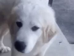 -觅山云南菜(泊富ICITY店)