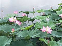 -哈尔滨大剧院