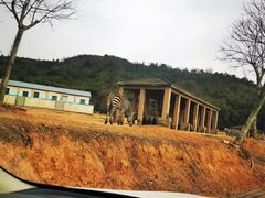 -杭州野生动物世界