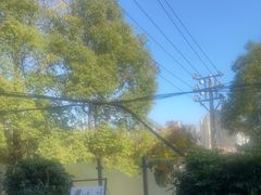 -树厨贵州菜(铜仁花果山店)