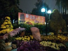 android_upload_pic-西北湖绿化广场