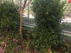 -世界地热博览园