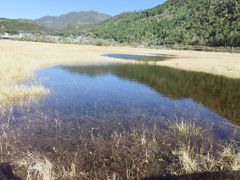 景点-腾冲北海湿地