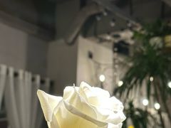 -岛风·台食小馆 ISLAND BISTRO(烟台山店)