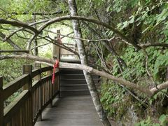 景点栈道-天燕原始生态旅游区-天门垭景区