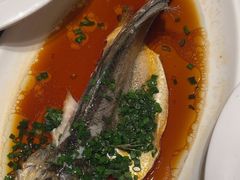 -梦都海鲜酒家(万达广场江桥店)