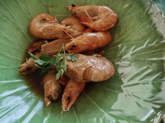 -上海明天广场JW万豪酒店