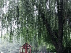 -唐城墙遗址公园