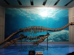 -自贡恐龙博物馆