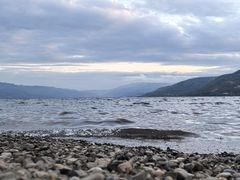 -阳宗海湿地