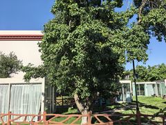-梨苑林卡金陵山水酒店