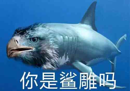 打分 差的很,服务员半天不理人,个人口味偏重,叫服