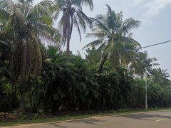 -东寨港红树林旅游区