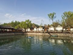 -尚庄度假村·庭台树下·户外烧烤·团建CS·轰趴营地(上庄水库店)
