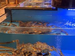 -阿伟海鲜楼·福建菜(延寿店)