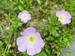 -中国湿地博物馆