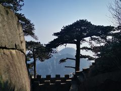 -天柱山风景区