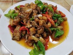 -煲来饱去冷水鱼