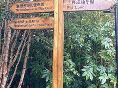 -上海崇明金茂凯悦酒店