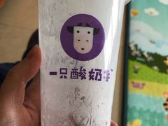 -一只酸奶牛(奎星楼店)