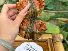 -七的湖·晚芳亭·阳澄湖农家菜·大闸蟹(莲花岛店)