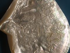 -青岛贝壳博物馆