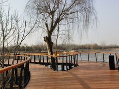 -东郊湿地公园