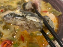 -正阳春烤鸭店(杨楼店)