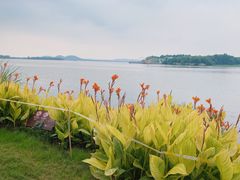 -东湖生态旅游风景区
