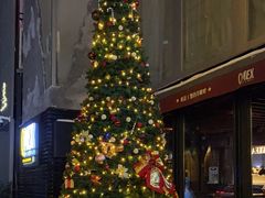 -Q MEX 库迈墨西哥餐吧(三里屯店)