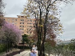 -广州七星岗古海岸遗址科学公园