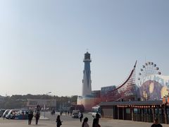 -大连圣亚海洋世界