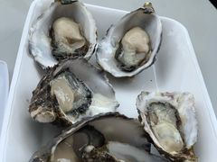 -悉尼鱼市场