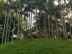 -人民公园(罗湖区)