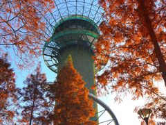 -黄海国家森林公园