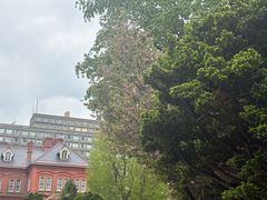 -北海道厅旧本厅舍(旧本庁舎)