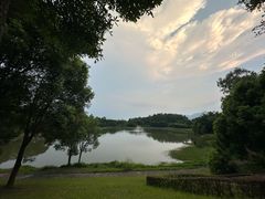 -福建鲤鱼洲酒店