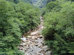 -青峰峡国家森林公园