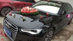 -蚂蚁婚车