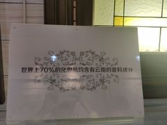 -花之城